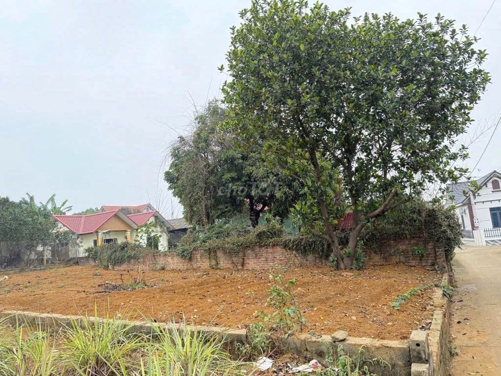 BÁN ĐẤT THỔ CƯ HOÀ LẠC, 103M2 TRỤC CHÍNH ĐƯỜNG LIÊN XÃ. - Ảnh 3