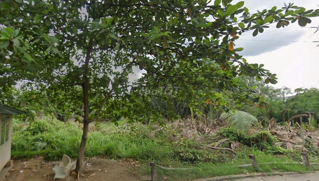 Bán đất ODT, 200m2, SHR, gần Đ. Nguyễn Thị Định, tiện xây CHDV - Ảnh 3