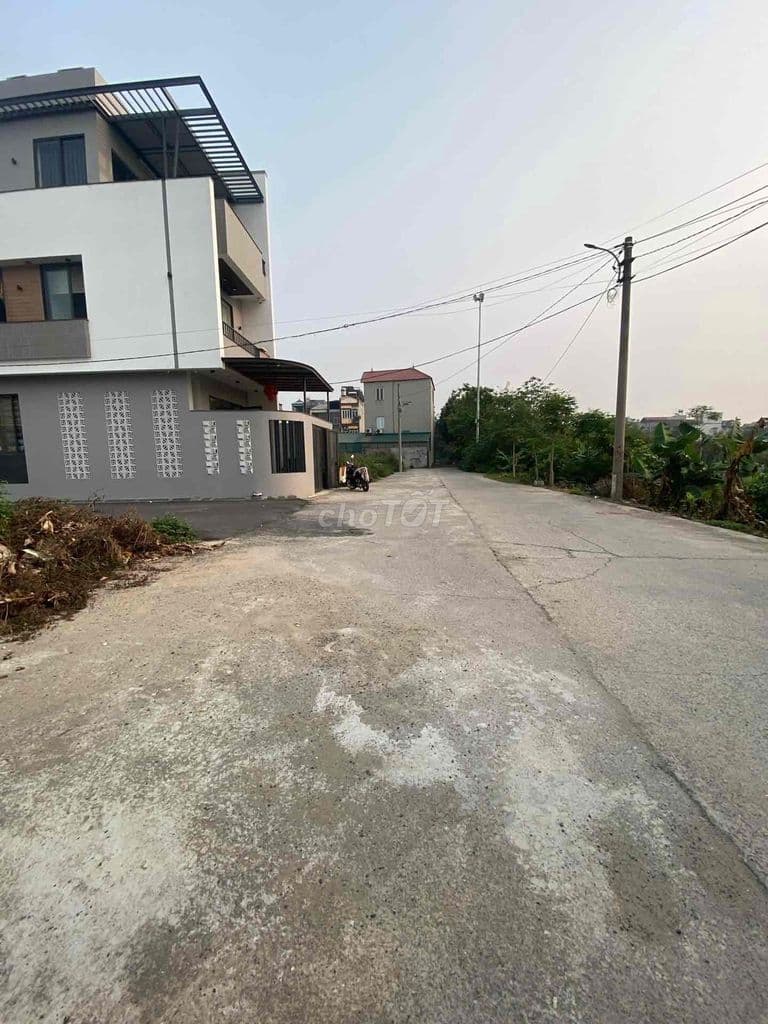 🔥 HOA HẬU LÔ GÓC X5 LƯƠNG QUY – XUÂN NỘN 🔥 - Ảnh 3