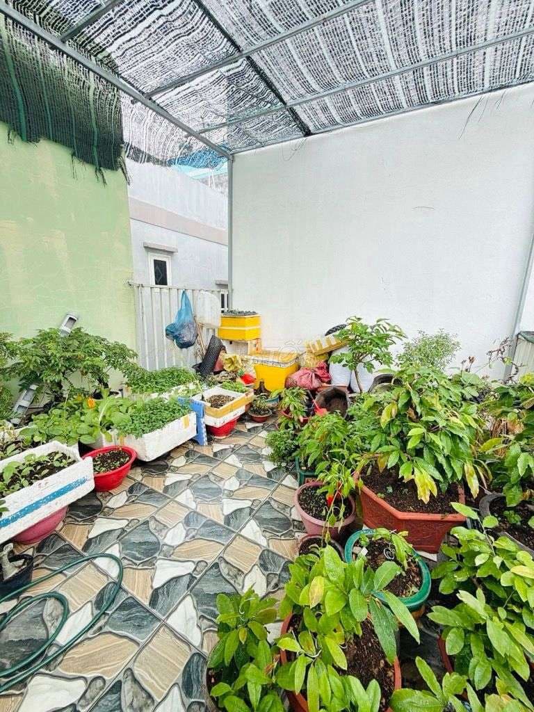 nhà bán số viết nghệ tĩnh 4 tângd, sổ riêng - Ảnh 3