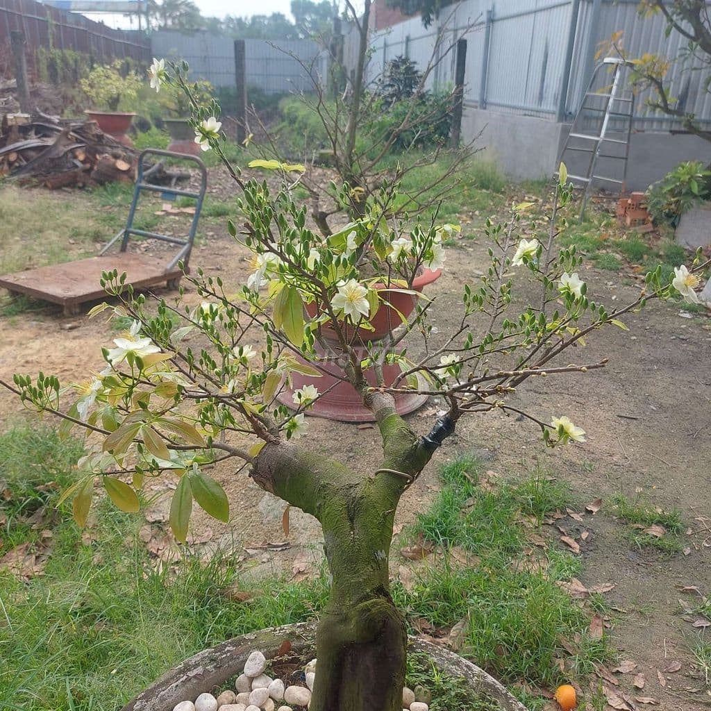 đất cần bán - Ảnh 2