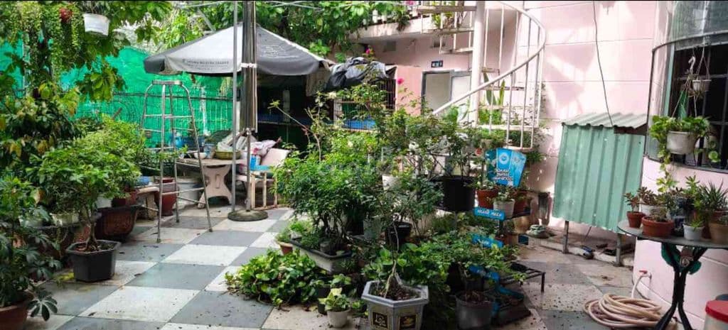 đăng bán: 🔥 SIÊU PHẨM LÔ GÓC 3 MẶT TIỀN BÀ ĐIỂM - Ảnh 2