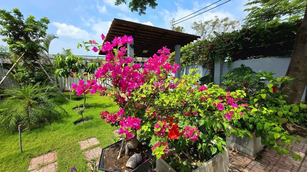 BÁN NHÀ VƯỜN VIEW SÔNG – BÌNH MỸ, CỦ CHI - Ảnh 2