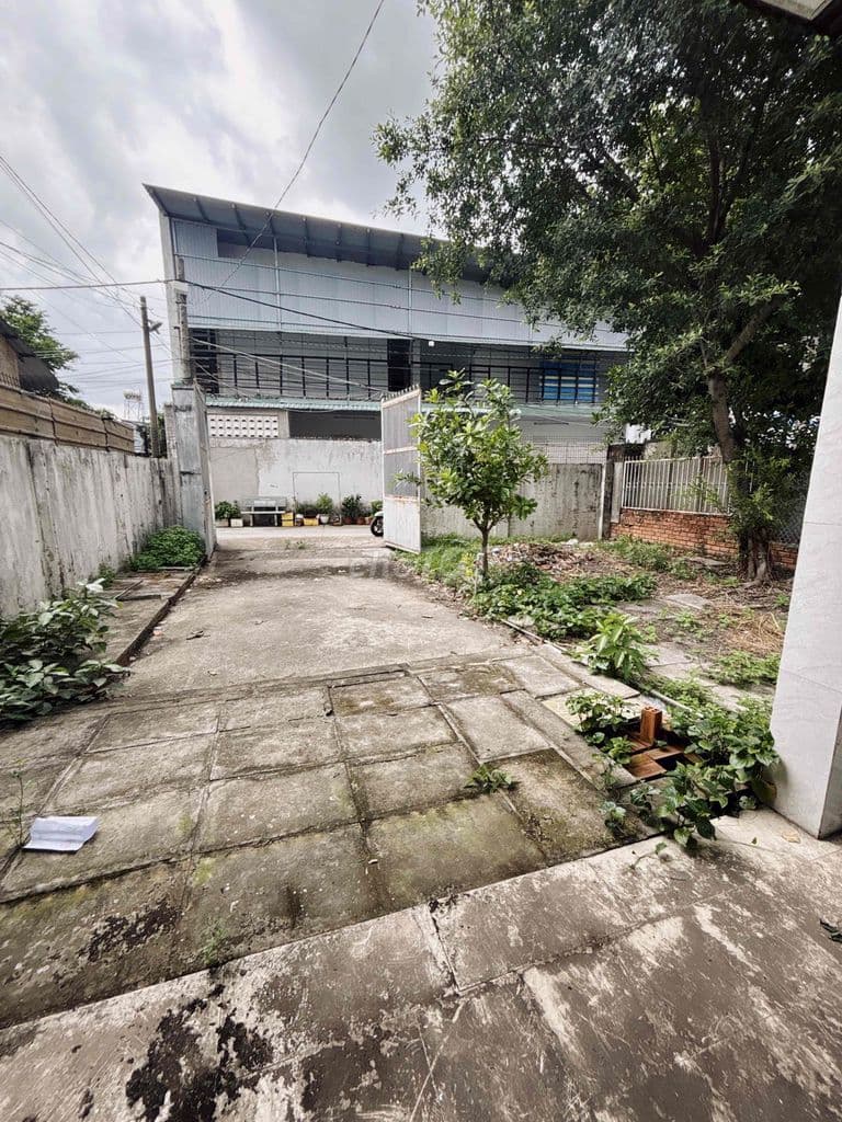 248M² FULL THỔ CƯ NGANG ĐỈNH 9,6M❌26M – TẶNG NHÀ CẤP 4 – NGAY DƯƠNG CÔ - Ảnh 3