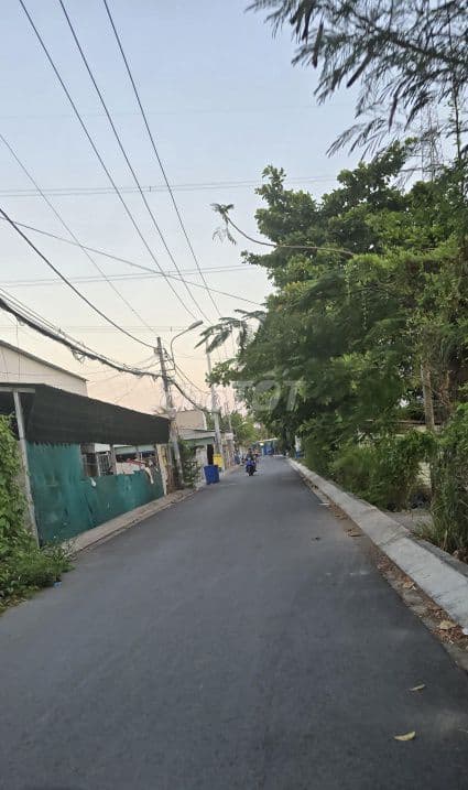 Đất vườn 486m2 vuông vức đẹp, hẻm xe hơi Lê Văn Lương, Nhà Bè - Ảnh 3