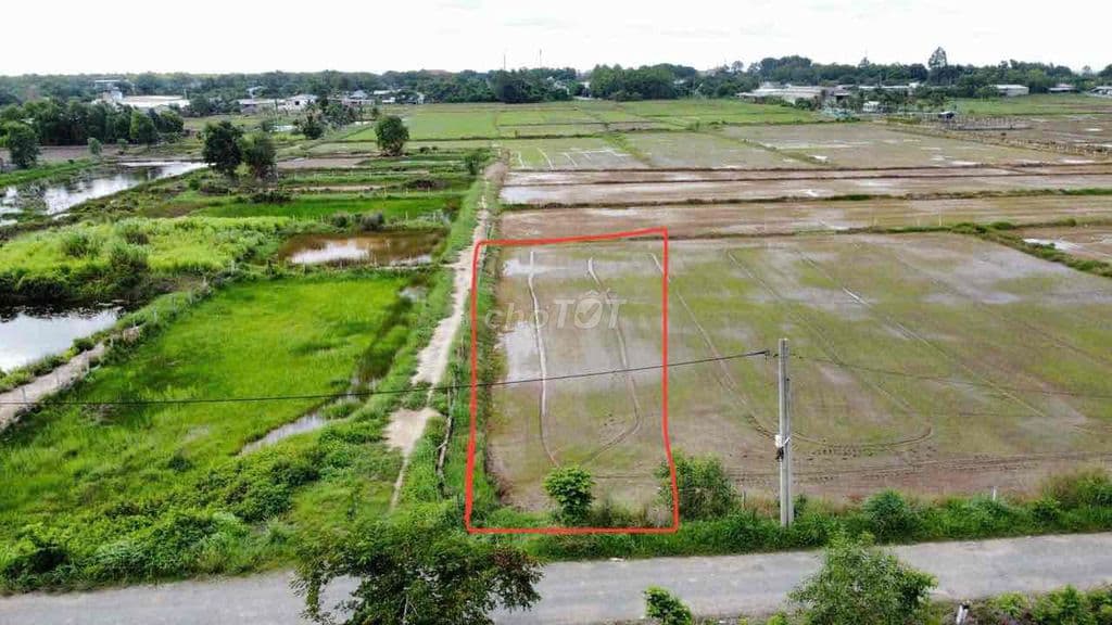 Mặt tiền đường Bưng tràm, Tân Thạnh Tây, Củ Chi dt : 650m đường 7m