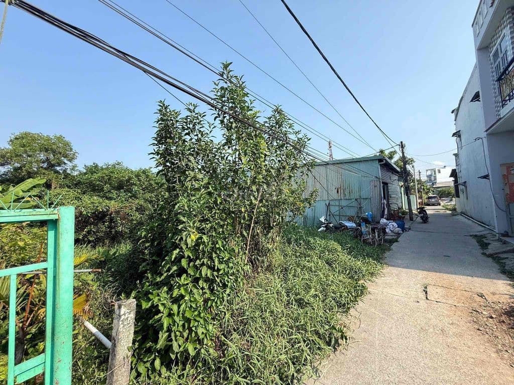 ĐẤT BÌNH CHÁNH – 300M² – GIÁ QUÁ RẺ ĐỂ ĐẦU TƯ - Ảnh 3
