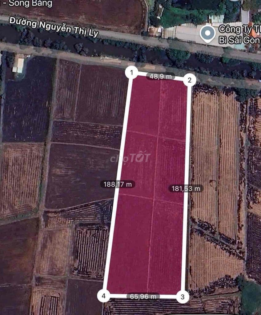 MT Nguyễn Thị Ly Hóc Môn 10696m2 Vuông Vức Ngang 50m Giá 2.5tr/m2 TL