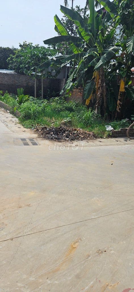 🔥🔥Có 1-0-2 🌟🌟 LÔ GÓC gần 80M2, Hiền Ninh - ĐƯỜNG 8m THÔNG, Trục Chính