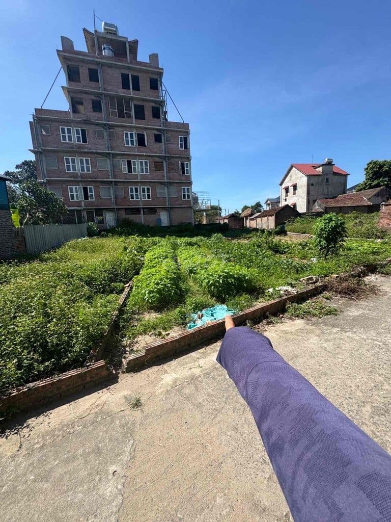 cộng hoà phù linh giá siêu đẹp - Ảnh 3