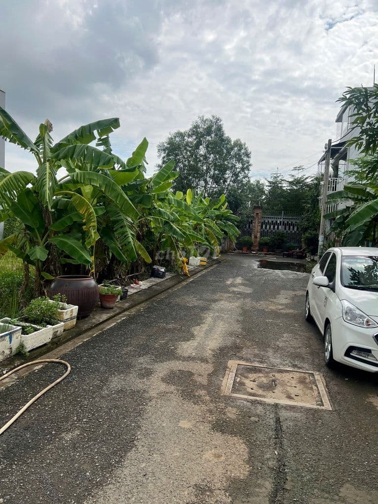 Bán đất khu dân cư ngay Cầu Ông Nhiêu, Quận 9 - Ảnh 3