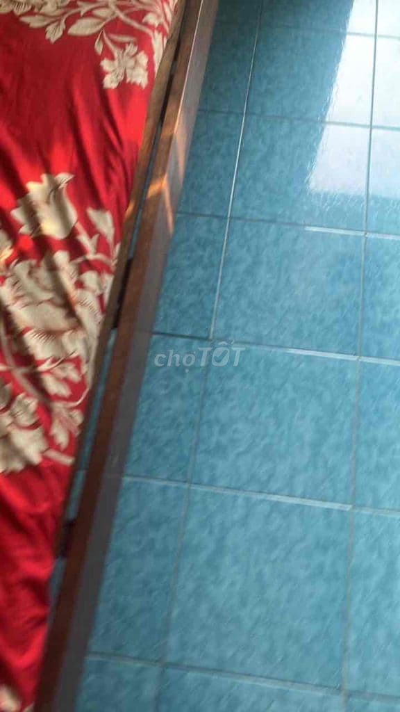 phòng trọ ở ngay chợ phưởng 10 quận 10 đươfng Lý thái Tổ - Ảnh 3