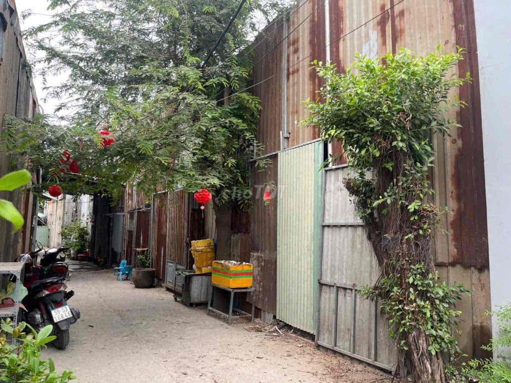 Cần môi giới bán giúp hoa hồng 25tr ạ. SHR đất trồng cây - Ảnh 2