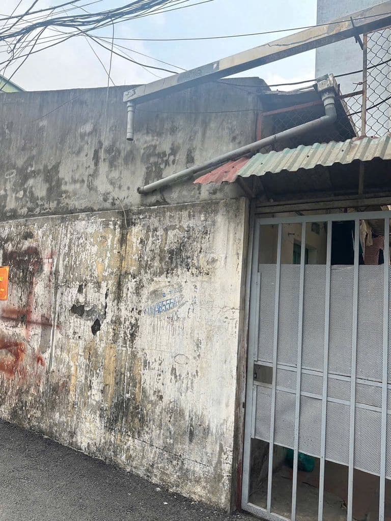 Bán đất tt Phường Bồ Đề - Ngõ ô tô thông - Kinh doanh - Full thổ cư - Ảnh 2