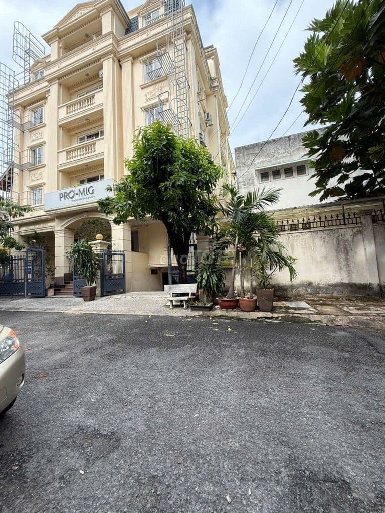 Bán đất biệt thự cao cấp đường Nguyễn Văn Hưởng gần BIS - 300m2 - Ảnh 2