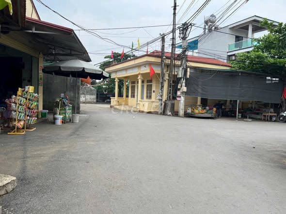 Đất Phú Cát 100m2 Full Thổ Cư Trục Chính Kinh Doanh - Ảnh 3