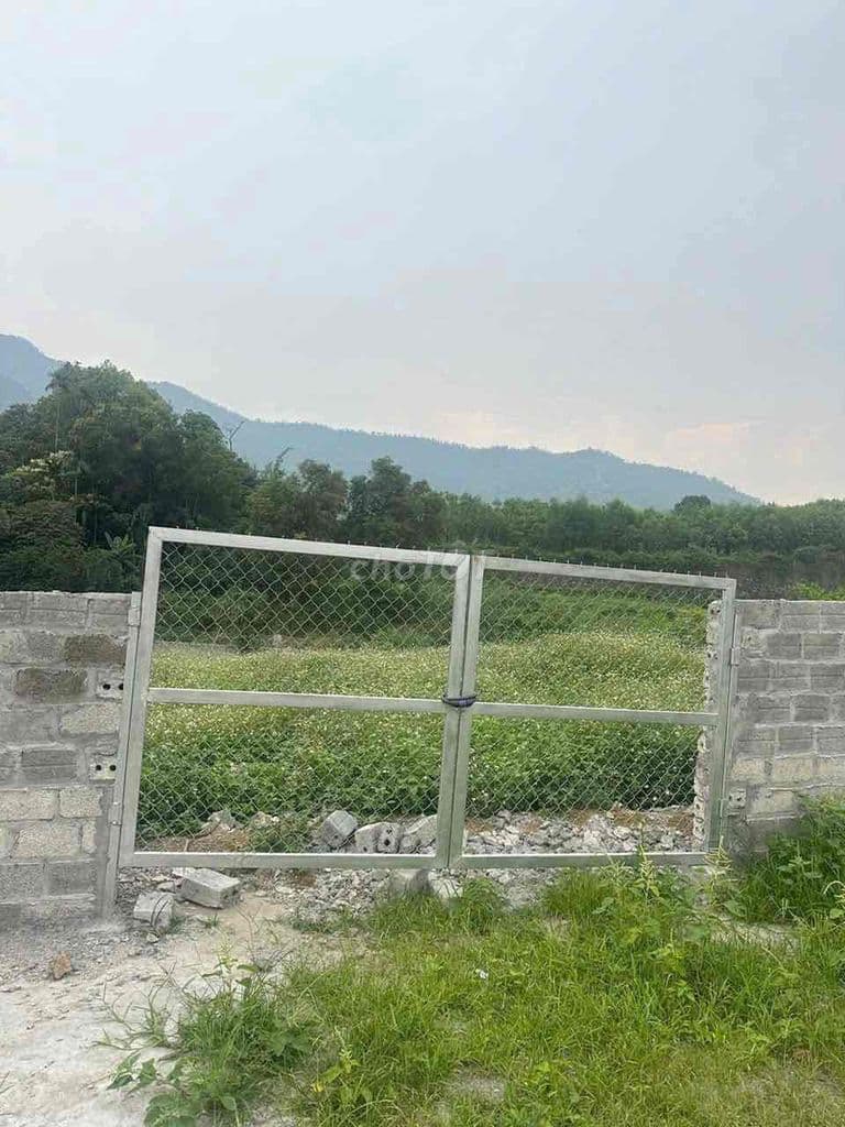 BÁN LÔ ĐẤT NGHỈ DƯỠNG THÔN TRÁN VOI - LÔ GÓC - 1007m2 -8,6 Tỷ - Ảnh 2