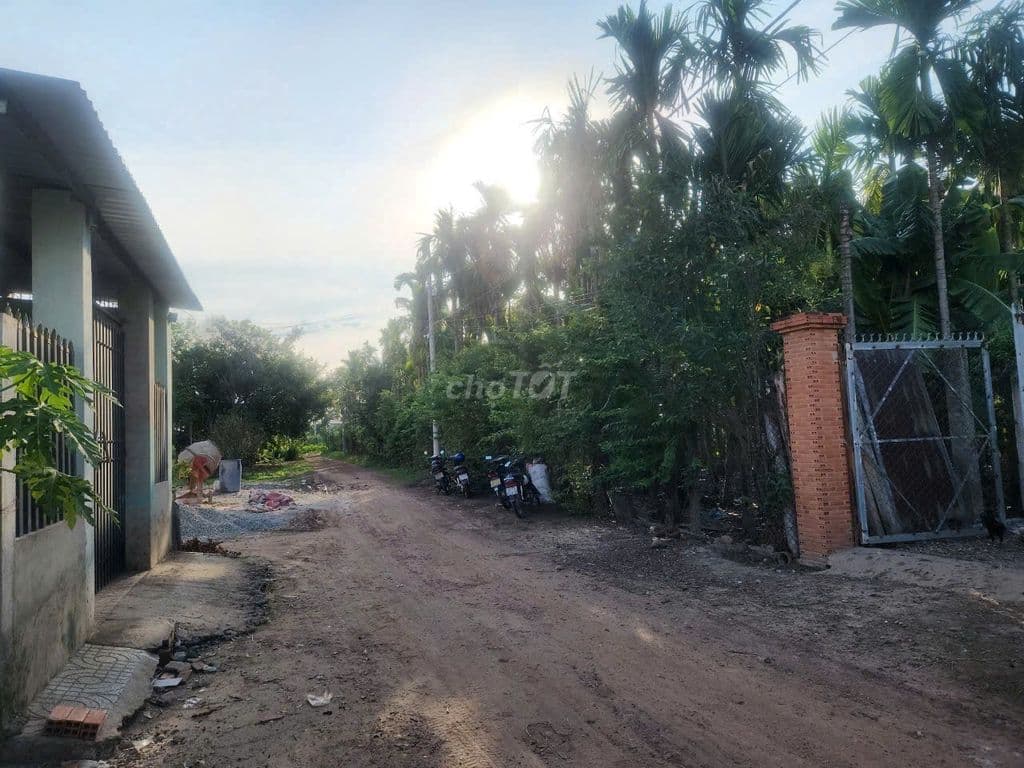 MT đường xe tải 1 sẹc ngắn đường An Nhơn Tây, DT 1600 m2, có 215m thổ