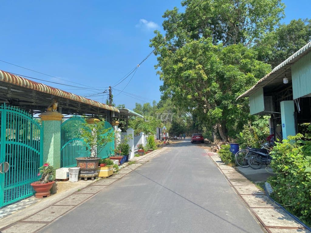 Ngộp lô đất FULL THỔ CƯ 386m2 sát Tỉnh Lộ 8 thuộc xã Phước Vĩnh An - Ảnh 2