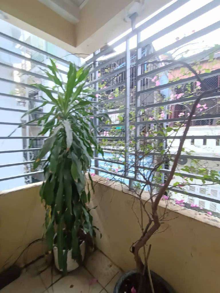 Khương Đình – Thanh Xuân 52m², 4 Tầng - Ảnh 2