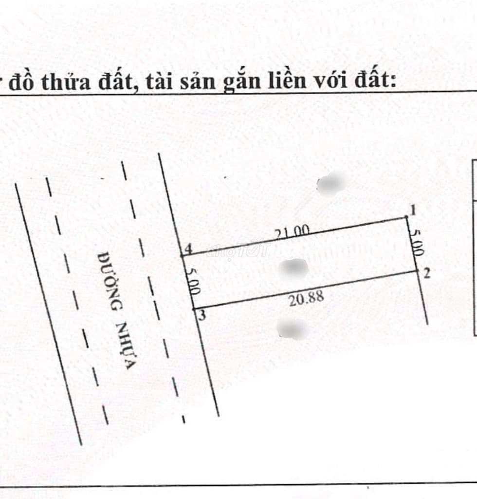 Bán gấp lô đất 105m2 giá 1tỷ280 Cây Trôm Mỹ Khánh xã Thái Mỹ Củ Chi - Ảnh 3