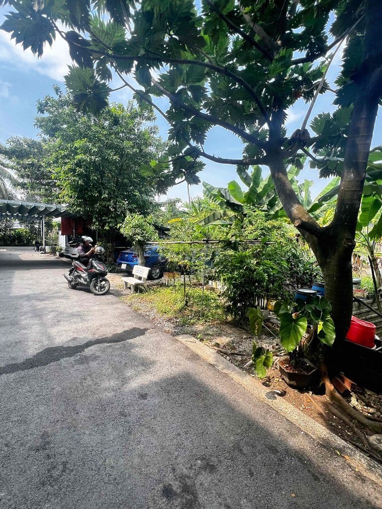 BÁN GẤP. NGANG 38M x 24,5M FULL THỔ, P LONG TRƯỜNG