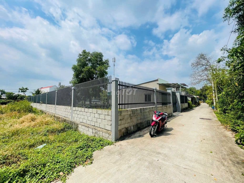 BÁN ĐẤT 458M2 Ở XÃ TÂN AN HỘI GẦN BỆNH VIỆN ĐK CỦ CHI, GIÁ CỰC TỐT - Ảnh 3