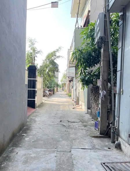 bán đất 48m Thôn Đoài Nam Hồng gần khu đấu giá - Ảnh 2