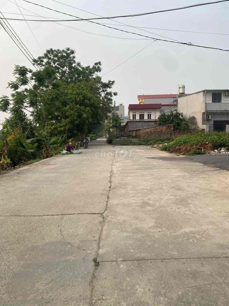 🔥 HOA HẬU LÔ GÓC X5 LƯƠNG QUY – XUÂN NỘN 🔥 - Ảnh 2