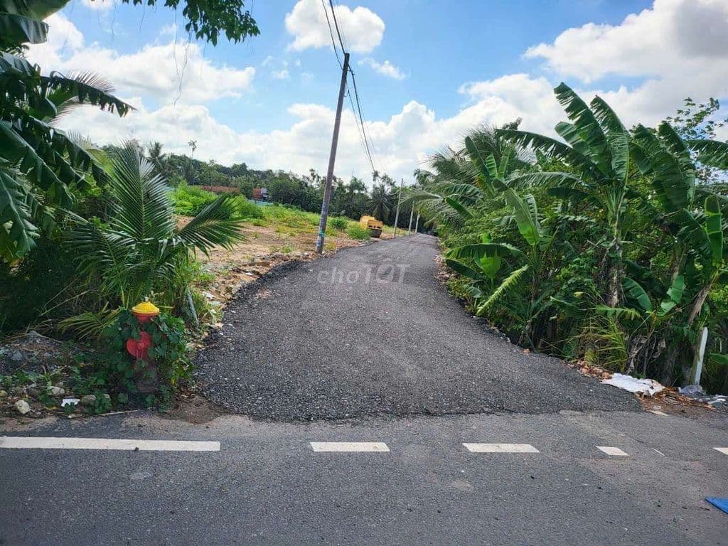 Đất ngay mặt tiền vào, đường xe contener, Nhị Bình 3, Hóc Môn - Ảnh 2