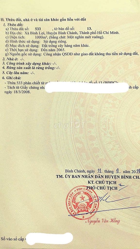 Đất vườn thơm bình lợi bình chánh - Ảnh 2