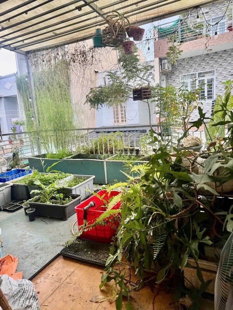 Lê Văn Lương, Nhà 4 tầng 5x16m2, Giá 7,4 tỷ - Ảnh 3