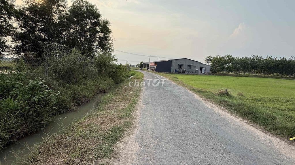 Cần bán gấp lô đất ngang 10m, 285m2, mặt tiền Phước Vĩnh An, tt Củ Chi - Ảnh 3