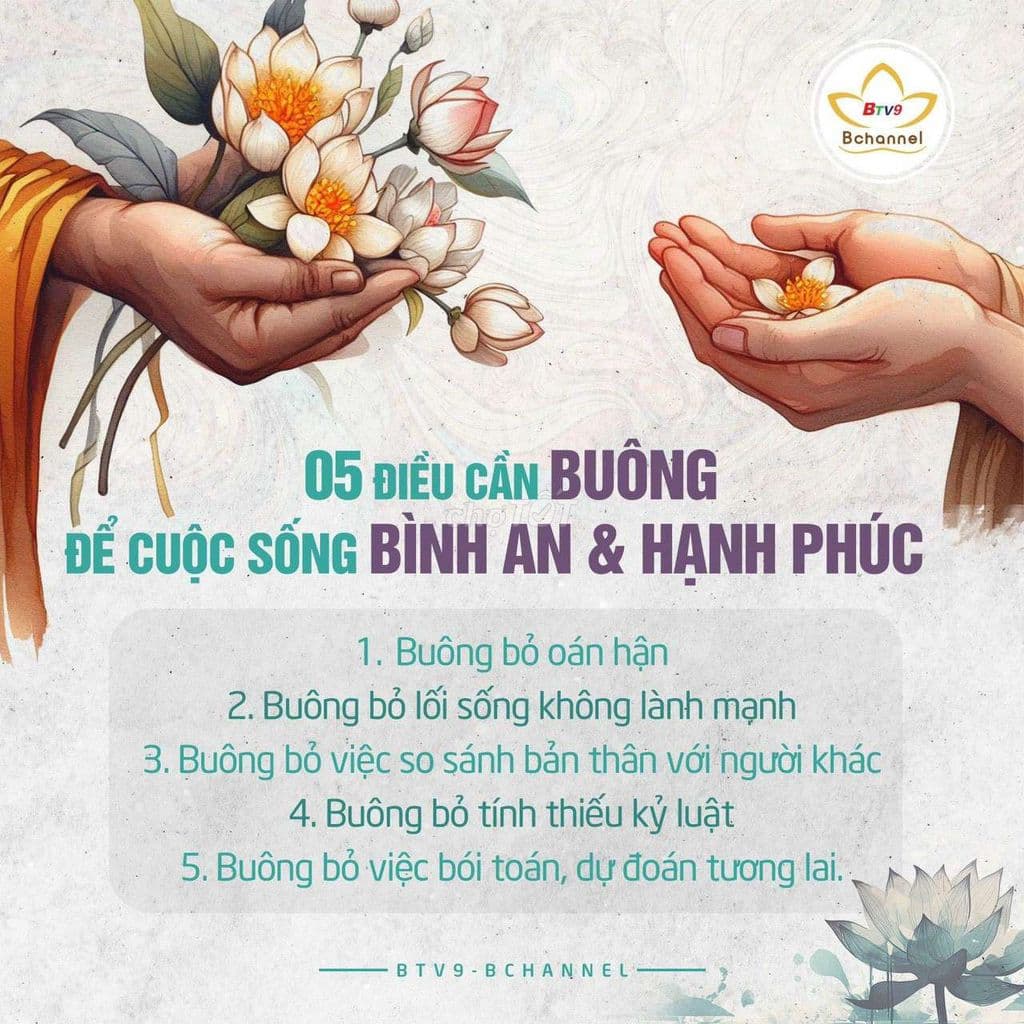 không sử dụng cần bán - Ảnh 3