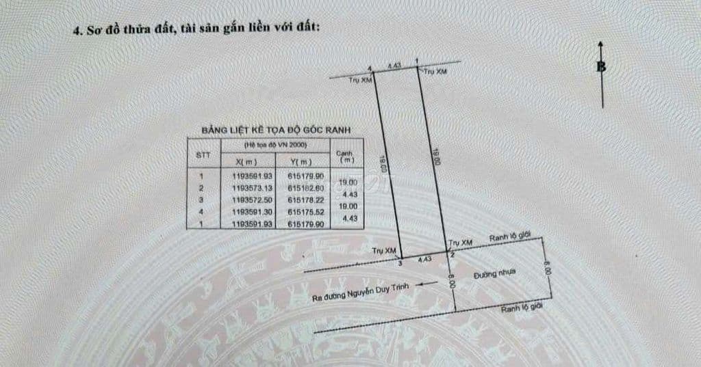 Giá ngộp cần bán đất mặt tiền đường 42 Bình Trưng Đông Q2, dt 101,5m2 - Ảnh 2