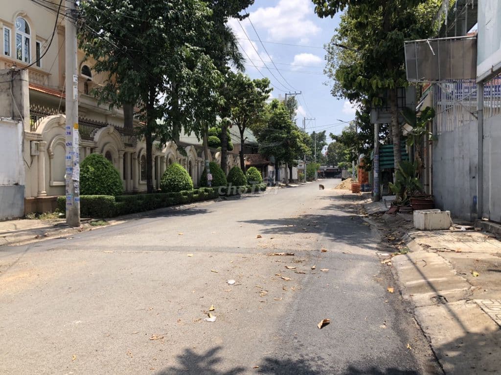 Tôi chính chủ cần bán gấp đất