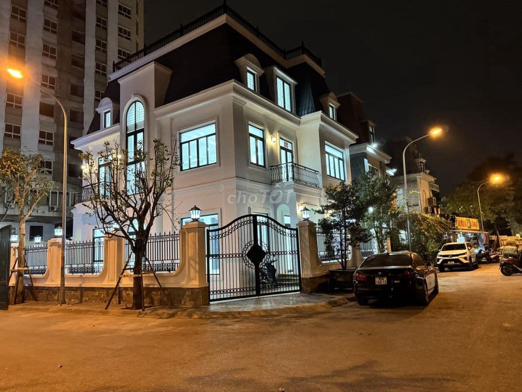 Biệt Thự phố Sa Đôi - Ảnh 3