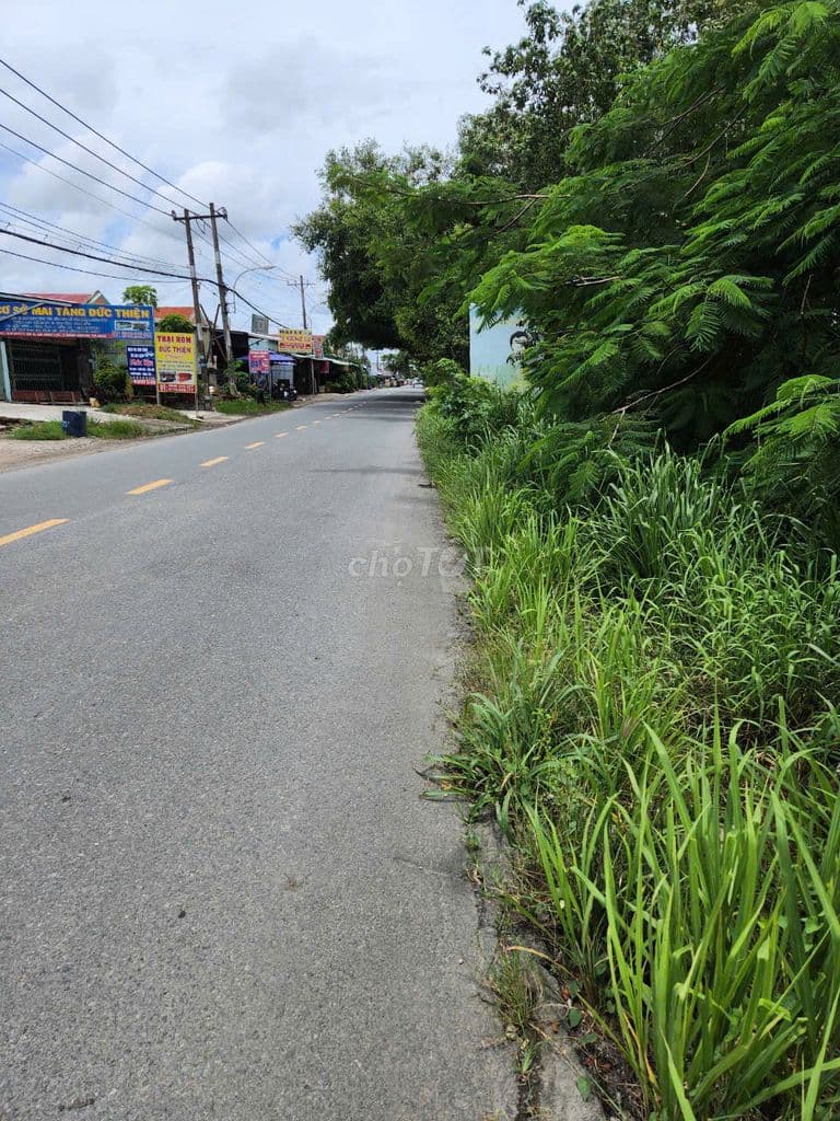 Cần bán đất MT đường nhựa Thanh Niên giáp các KCN, khu dân cư - Ảnh 2