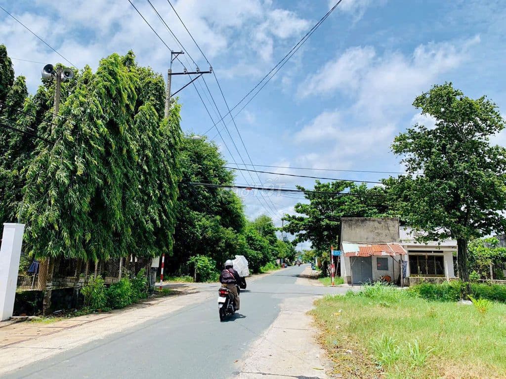 CON PHÁ NỢ NẦN BÁN GẤP MT ĐƯỜNG SỐ 42, TÂN THÔNG HỘI - 187M2 FULL THỔ - Ảnh 2