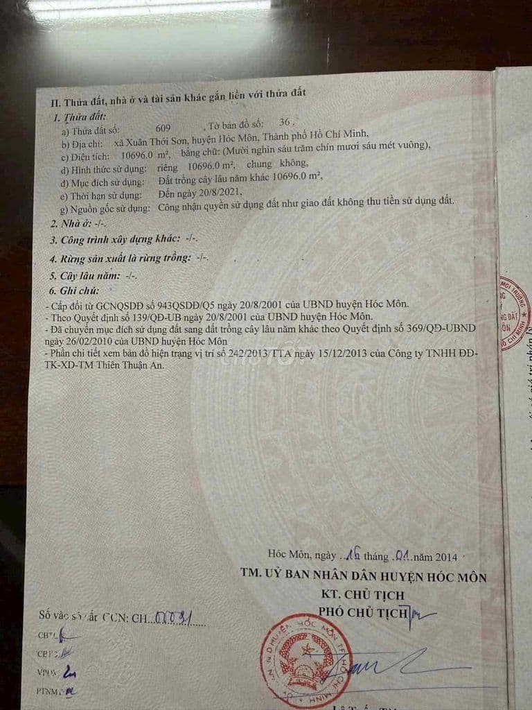 MT Nguyễn Thị Ly Hóc Môn 10696m2 Vuông Vức Ngang 50m Giá 2.5tr/m2 TL - Ảnh 2