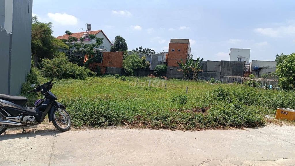 Lô đất đẹp HXT Tân Hiệp 4 , Hóc Môn, DT 260 m2. Giá chỉ 5.5 tỷ (TL) - Ảnh 3