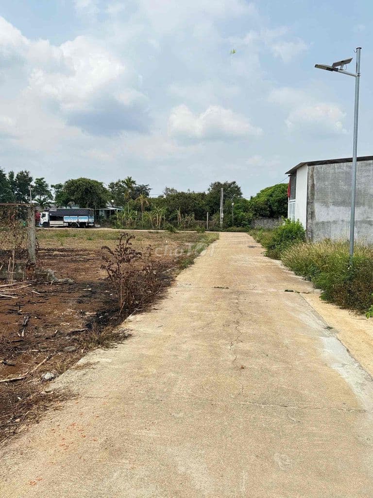 ✅Siêu vip khối 15 Khánh xuân 🫰Chỉ còn 1 lô *** dài miên man thổ c - Ảnh 2