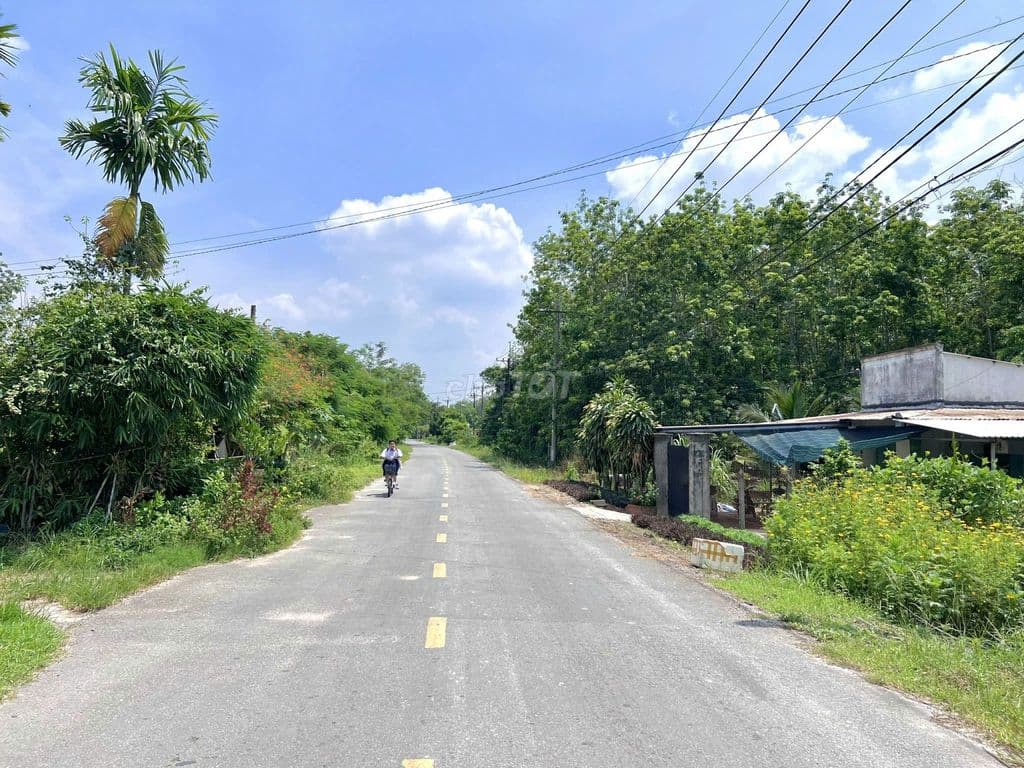 Bán lô đất Mặt tiền đường Cây Gõ, 313m2, full thổ cư, xã An Nhơn Tây. - Ảnh 2