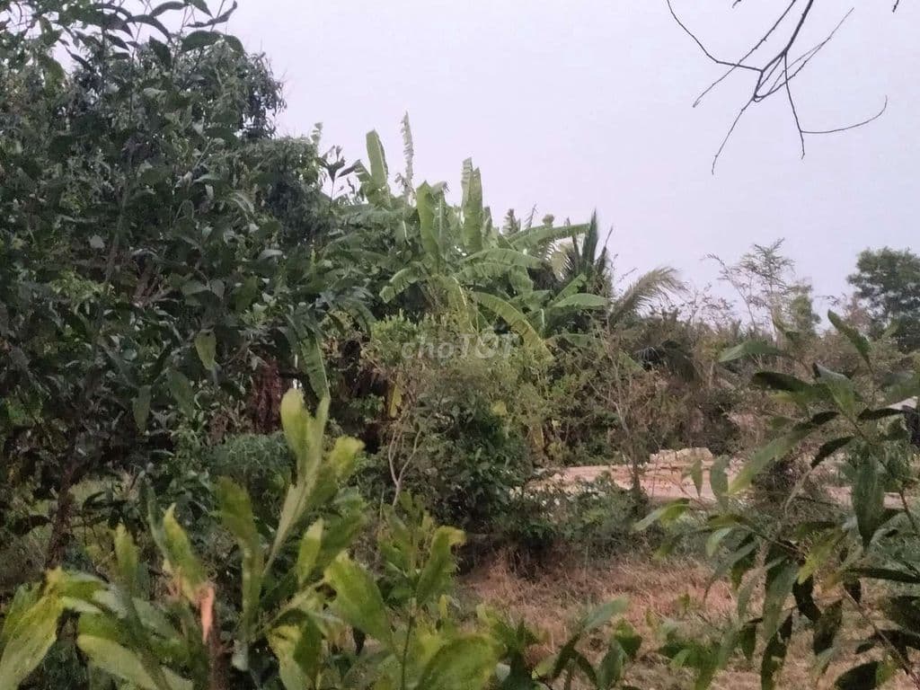 BÁN LÔ ĐẤT MẶT TIỀN ĐƯỜNG TNXP