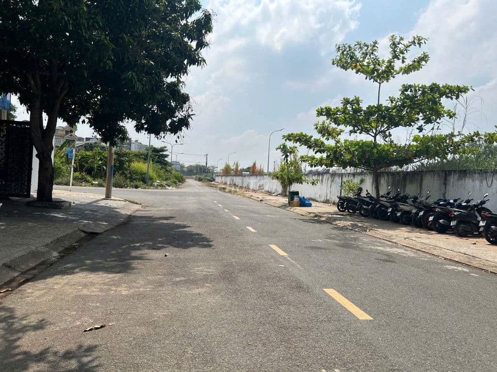 Bán đất biệt thự đường số 14 KDC T30 xã Bình Hưng Bình Chánh - Ảnh 2