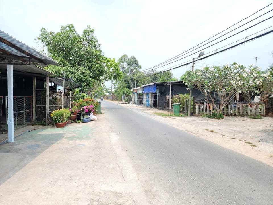 Chủ kẹt vốn bán gấp lô đất mặt tiền đường nhựa khu vực Thái Mỹ giá rẻ - Ảnh 2