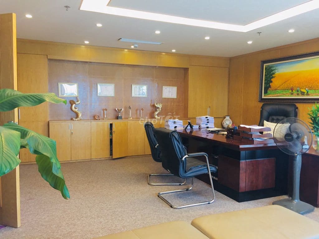 Cho thuê vp phố Mai Anh Tuấn Đống Đa,hà nội, dtsd 60m2,thông sàn, - Ảnh 2