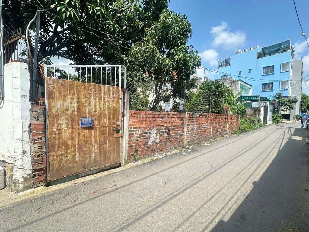 Đất mặt tiền đường xây biệt thự hoặc CHDV - Ảnh 3