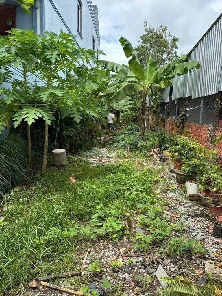 BÁN ĐẤT NGAY BV XUYÊN Á - 300M2 - GIÁ 680TR - GẦN TL2 - TÂNPHÚTRUNG SH