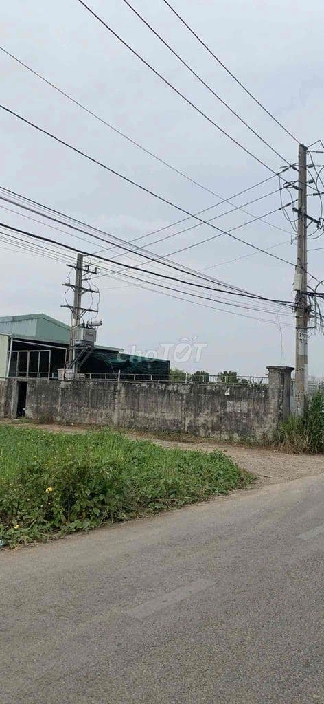 bán hoạc cho thue lô đất ngay khu cháo bầu, hóc môn - Ảnh 3